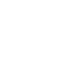 p white logo